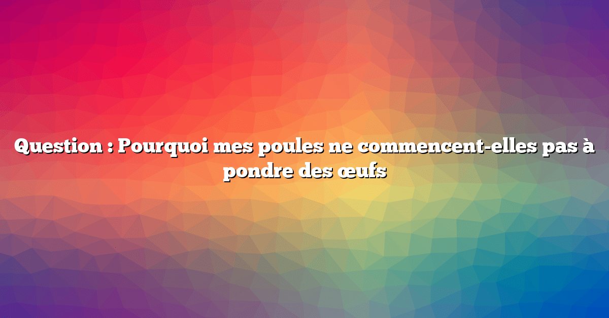Question : Pourquoi mes poules ne commencent-elles pas à pondre des œufs
